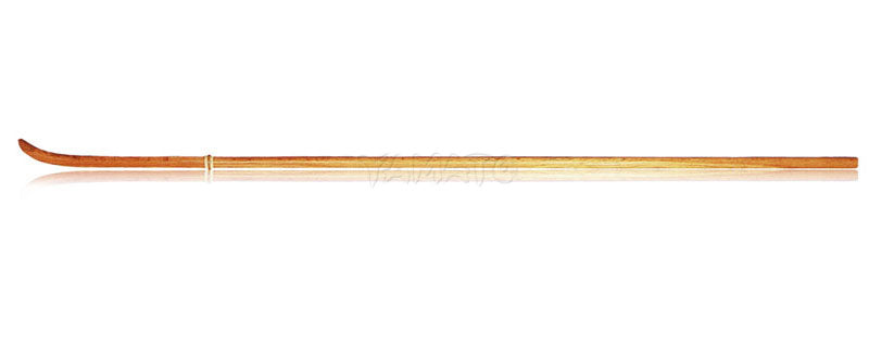 Naginata (Kihon/Kata) approved by AJNF